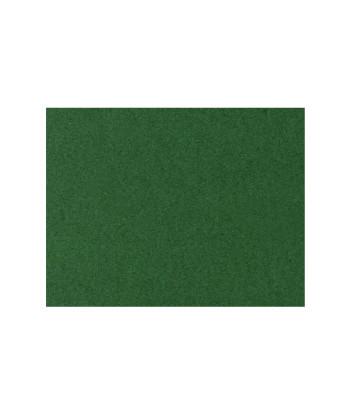 Cartolina 50x65cm Verde...