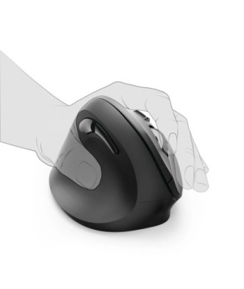 Rato Wireless Ergonómico...