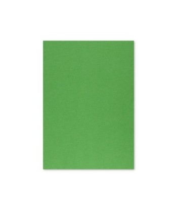 Cartolina 50x65cm Verde...