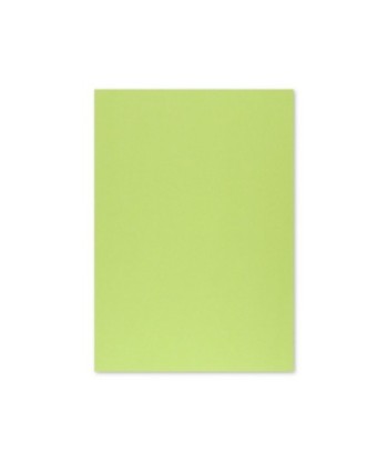 Cartolina 50x65cm Verde...