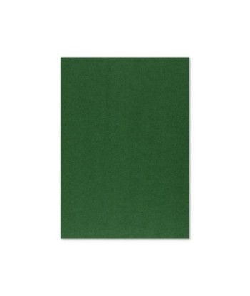 Cartolina 50x65cm Verde...