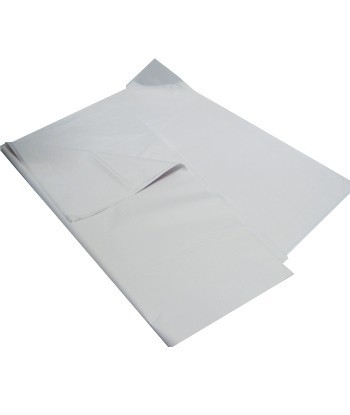 Papel Sulfito 60x80 018g...