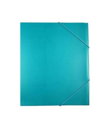 Pasta Plástico c/Elásticos...