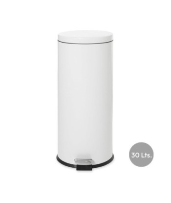 Contentor 30L Metal Aço...