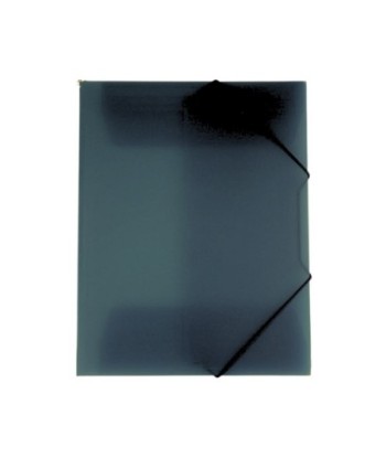 Pasta Plástico c/Elásticos...