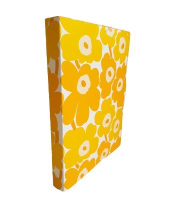 Pasta Plástico c/Elásticos...