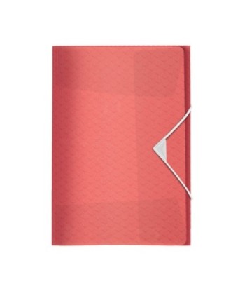 Pasta Plástico c/Elásticos...