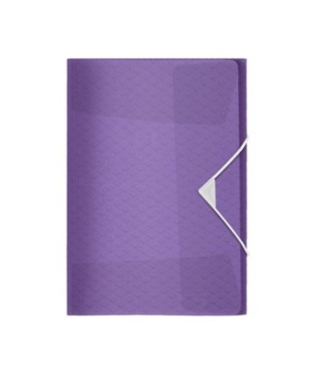 Pasta Plástico c/Elásticos...