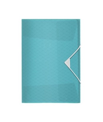 Pasta Plástico c/Elásticos...