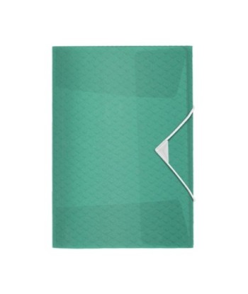 Pasta Plástico c/Elásticos...