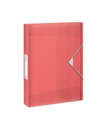 Pasta Plástico c/Elásticos...