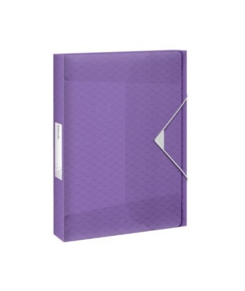 Pasta Plástico c/Elásticos...