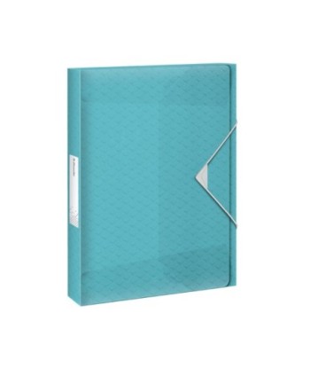 Pasta Plástico c/Elásticos...