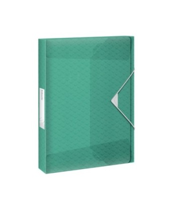 Pasta Plástico c/Elásticos...