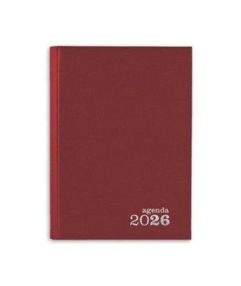 Agenda Diária 2026 Basic...