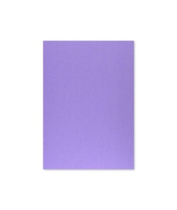 Cartolina 50x65cm Lilás...