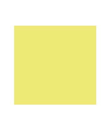 Cartolina 50x65cm Kiwi 240g...