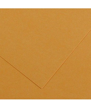 Cartolina A3 Couro 185g 50...