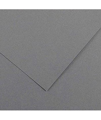 Cartolina 50x65cm Cinzento...