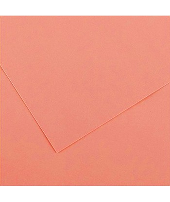 Cartolina 50x65cm Coral...