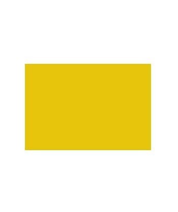 Cartolina 50x65cm Amarelo...