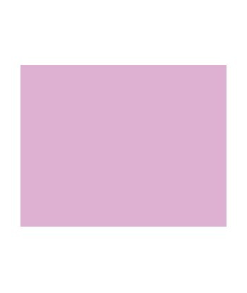 Cartolina 50x65cm Lilas...