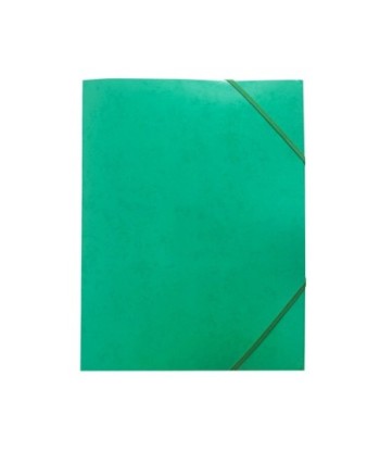 Pasta Cartão c/Elásticos A4...