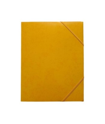 Pasta Cartão c/Elásticos A4...