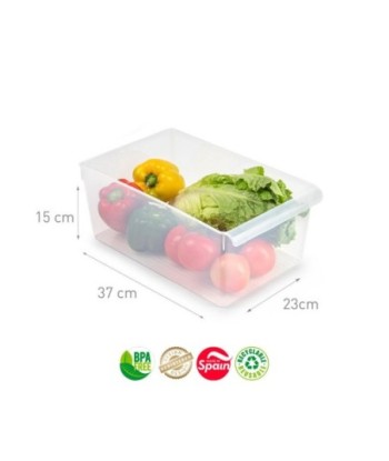 Caixa Organizadora...