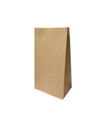 Saco sem Asas 20x12x37,5cm...