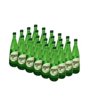 Água com Gás H2OPE 0,25L...