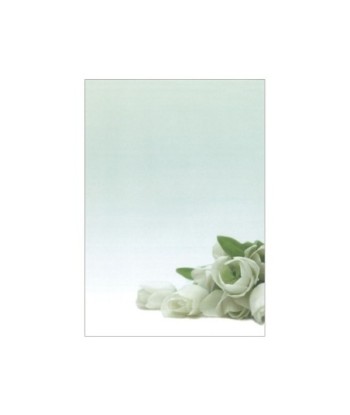 Papel Temático Flor Branca...